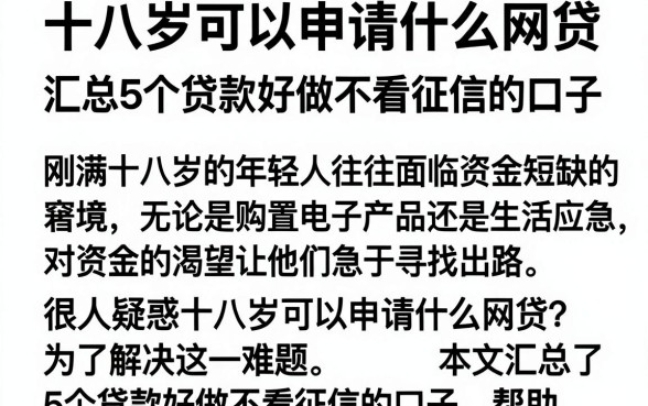 十八岁可以申请什么网贷,汇总5个贷款好做不看征信的口子