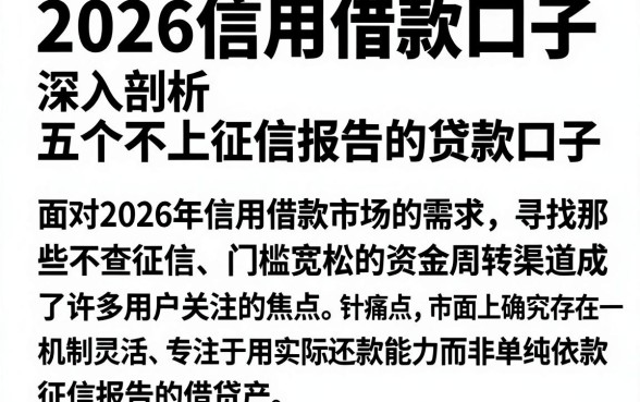 2026信用借款口子,深入剖析五个不上征信报告的贷款口子