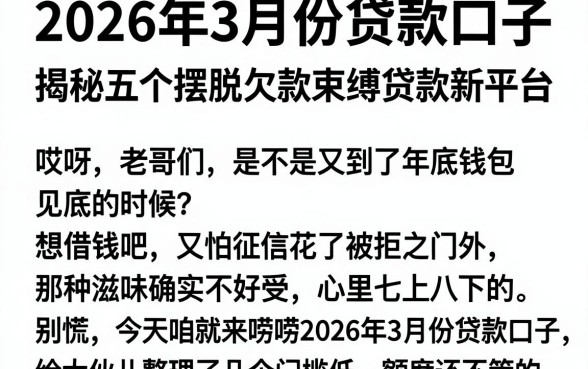 2026年3月份贷款口子,揭秘五个摆脱欠款束缚贷款新平台