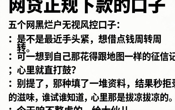 网贷正规下款的口子,细致阐述五个网黑烂户无视风控口子
