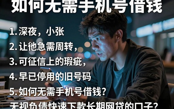 如何无需手机号借钱,详细阐述五个无视负债快速下款长期网贷的平台