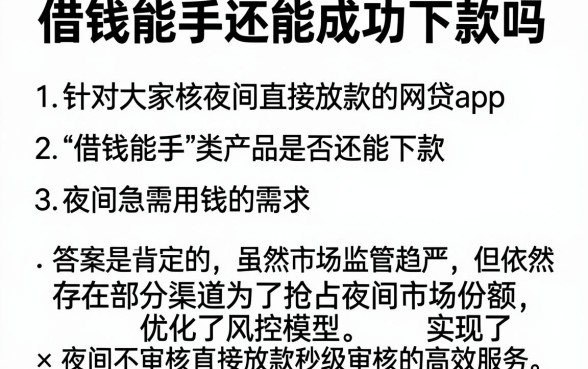 借钱能手还能成功下款吗，概括五个不审核夜间直接放款的网贷app