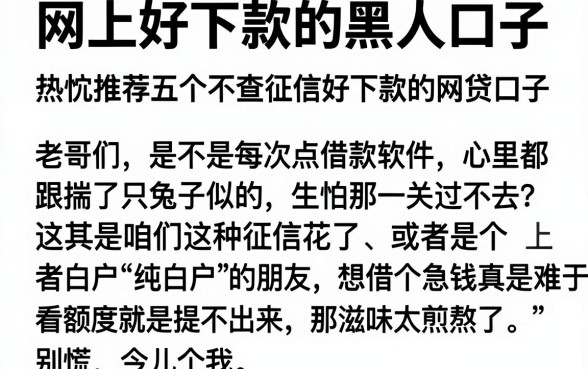 网上好下款的黑人口子,热忱推荐五个不查征信好下款的网贷口子