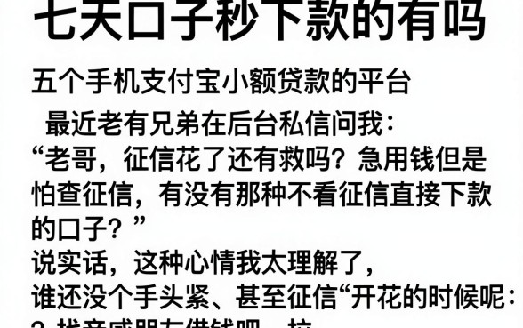 七天口子秒下款的有吗，整合五个手机支付宝小额贷款的平台