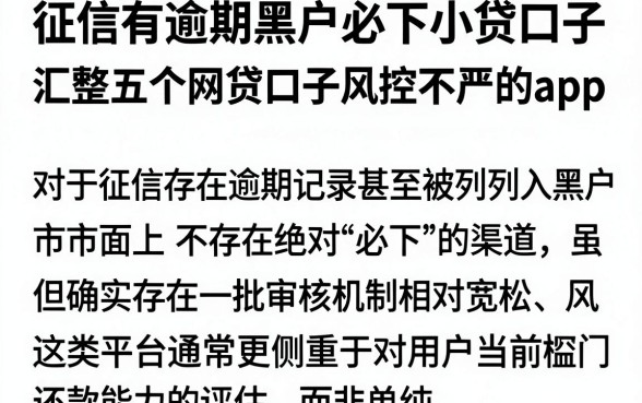 征信有逾期黑户必下小贷口子,汇整五个网贷口子风控不严的app