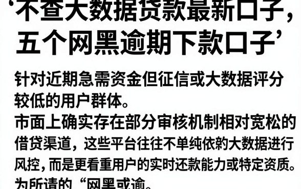 不查大数据贷款最新口子，详尽说明五个网黑逾期下款口子