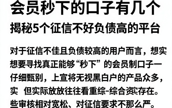 会员秒下的口子有几个，揭秘5个征信不好负债高的平台