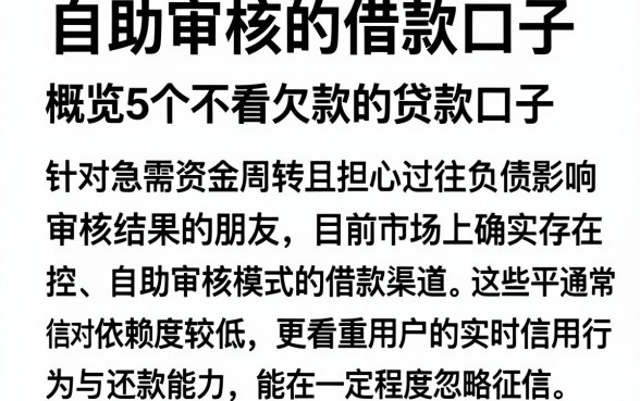 自助审核的借款口子,概览5个不看欠款的贷款口子