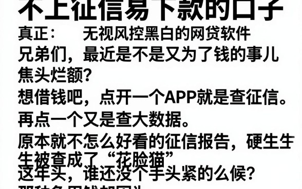 不上征信易下款的口子,详细阐述五个真正无视风控黑白的网贷软件