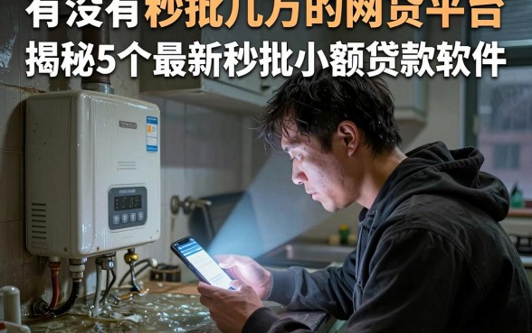 有没有秒批几万的网贷平台,揭秘5个最新秒批小额贷款软件