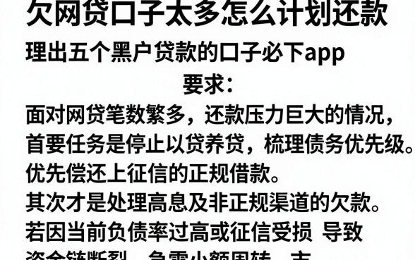 欠网贷口子太多怎么计划还款,理出五个黑户贷款的口子必下app