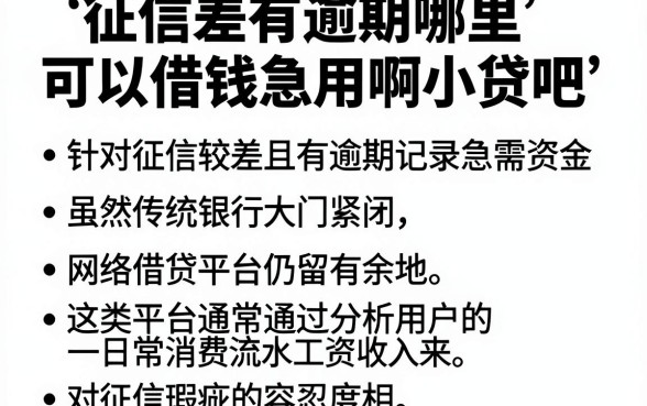 征信差有逾期哪里可以借钱急用啊小贷吧,汇整五个看银行流水的网贷平台