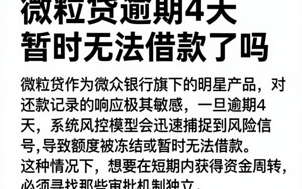 微粒贷逾期4天暂时无法借款了吗,遴选5个不看征信负债的网贷百分百下款平台