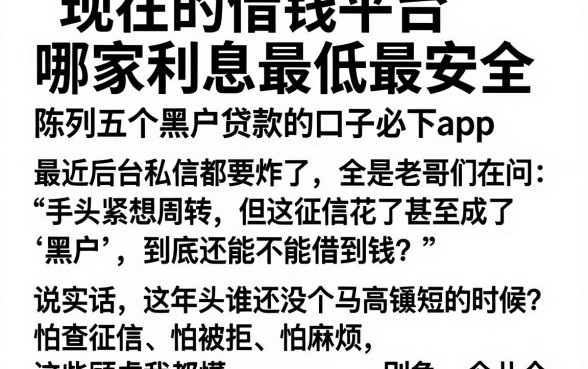现在的借钱平台哪家利息最低最安全,陈列五个黑户贷款的口子必下app