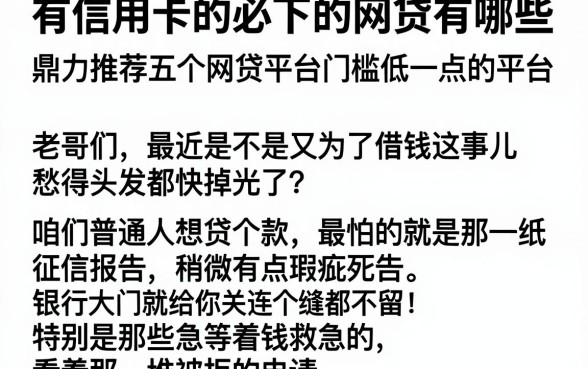 有信用卡的必下的网贷有哪些,鼎力推荐五个网贷平台门槛低一点的平台