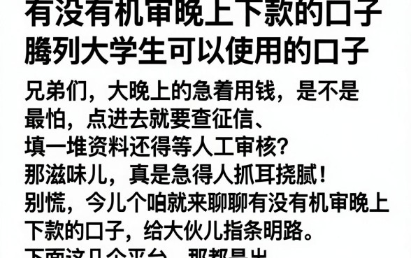 有没有机审晚上下款的口子，胪列五个大学生可以使用的口子