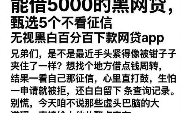 能借5000的黑网贷,甄选5个不看征信无视黑白百分百下款网贷app