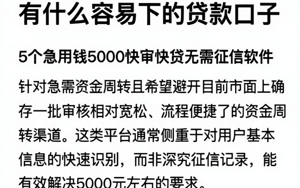 有什么容易下的贷款口子,概览5个急用钱5000快审快贷无需征信软件