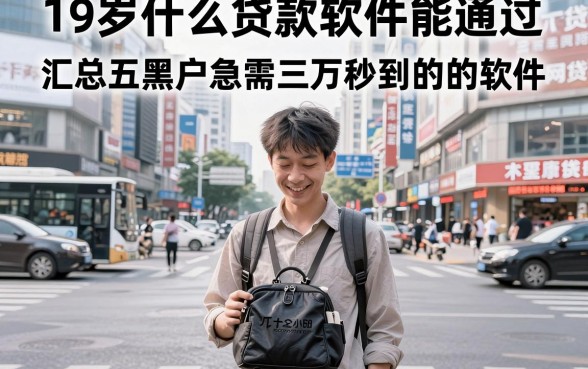 19岁什么贷款软件能通过,汇总五个黑户急需三万秒到的的软件