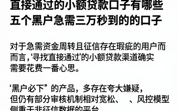 直接通过的小额贷款口子有哪些,概括五个黑户急需三万秒到的的口子