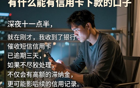 有什么能有信用卡下款的口子,罗列五个逾期必下款的口子