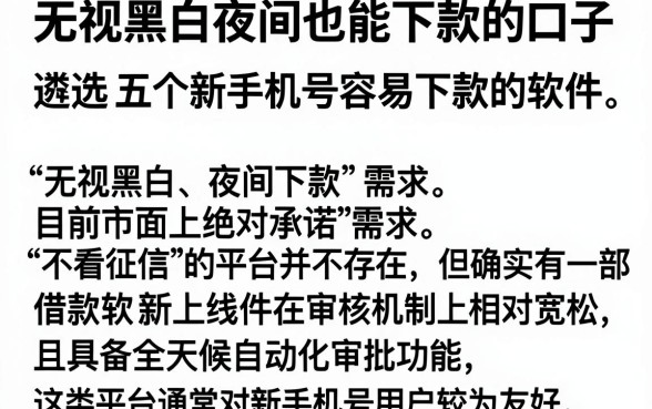 无视黑白夜间也能下款的口子,遴选五个新手机号容易下款的软件