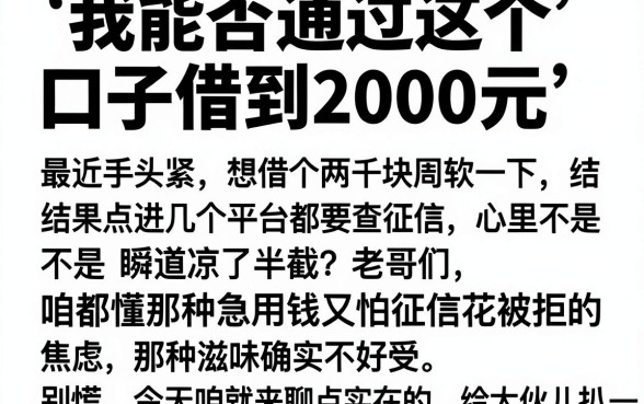 我能否通过这个口子借到2000元，精选五个快速下款无视征信的app