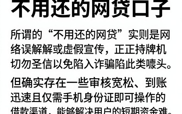 不用还的网贷口子,详尽说明5个手机身份证秒借现金的口子