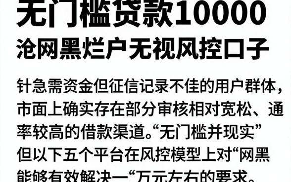 无门槛贷款10000,深入剖析五个网黑烂户无视风控口子