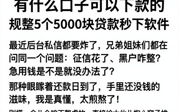 有什么口子可以下款的，规整5个5000块贷款秒下软件