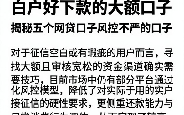 白户好下款的大额口子,揭秘五个网贷口子风控不严的口子