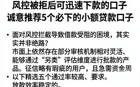 风控被拒后可迅速下款的口子,诚意推荐5个必下的小额贷款口子