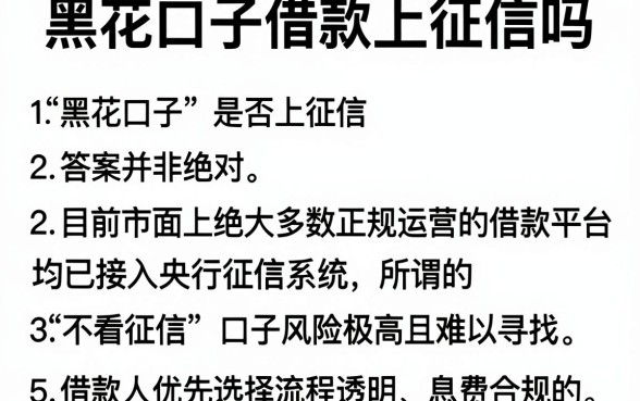 黑花口子借款上征信吗,概括5个手机上可以借钱的app