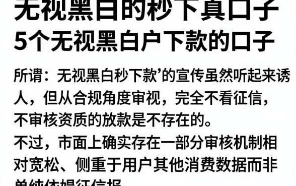 无视黑白的秒下真口子，细致阐述5个无视黑白户下款的口子
