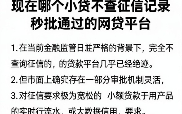 现在哪个小贷不查征信记录,深入剖析五个秒批通过的网贷平台