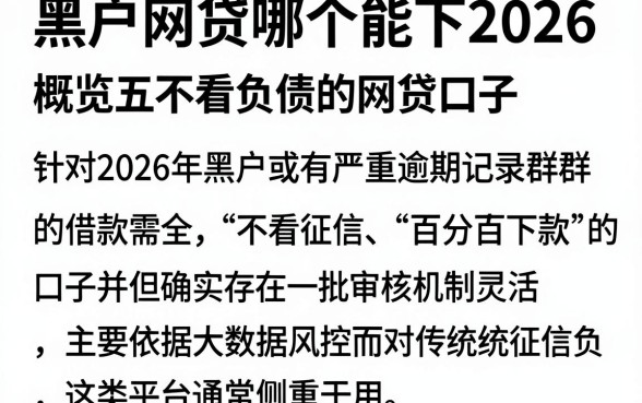 黑户网贷哪个能下2026,概览五个不看负债的网贷口子