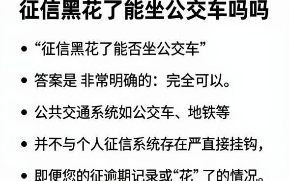 征信黑花了能坐公交车吗吗，枚举五个低门槛不查征信的软件