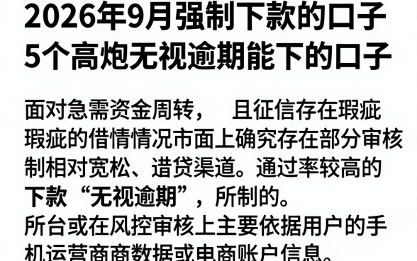 2026年9月强制下款的口子，整合5个高炮无视逾期能下的口子