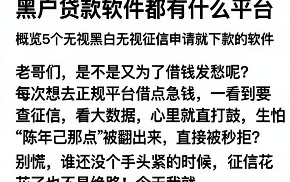 黑户贷款软件都有什么平台,概览5个无视黑白无视征信申请就下款的软件