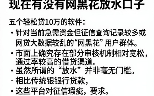 现在有没有网黑花放水口子，详尽说明五个轻松贷10万的软件