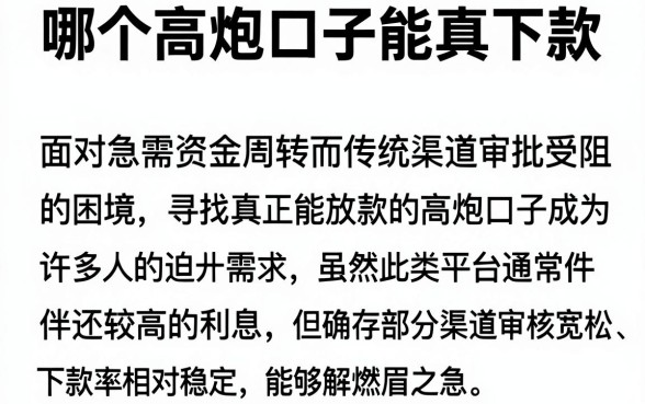 哪个高炮口子能真下款,概览5个高炮能下款的app