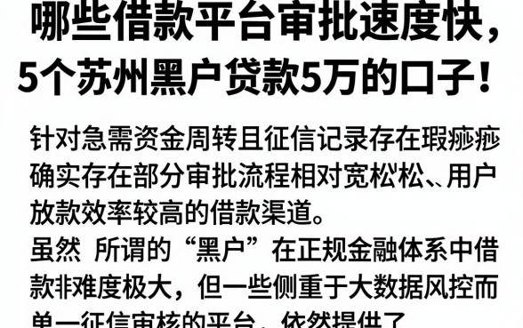 哪些借款平台审批速度快,详尽说明5个苏州黑户贷款5万的口子