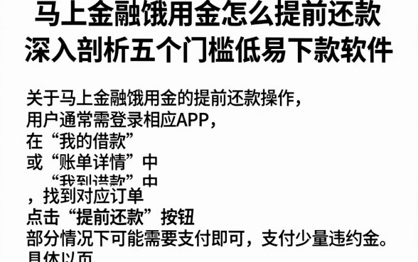 马上金融饿用金怎么提前还款，深入剖析五个门槛低易下款软件