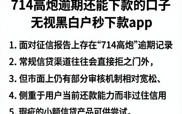 714高炮逾期还能下款的口子，罗列五个无视黑白户秒下款app