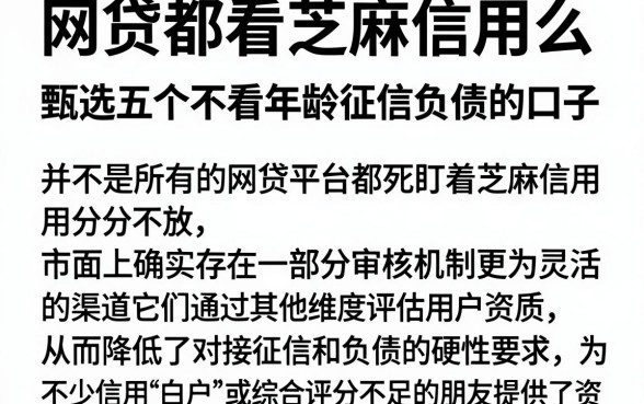 网贷都看芝麻信用么,甄选五个不看年龄征信负债的口子
