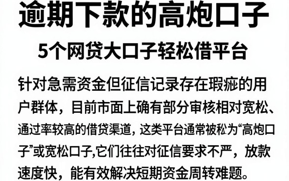 逾期下款的高炮口子，概览5个网贷大口子轻松借平台