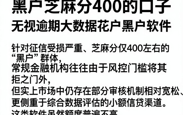 黑户芝麻分400的口子，梳理五个无视逾期大数据花户黑户软件