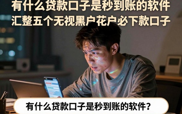 有什么贷款口子是秒到账的软件，汇整五个无视黑户花户必下款口子