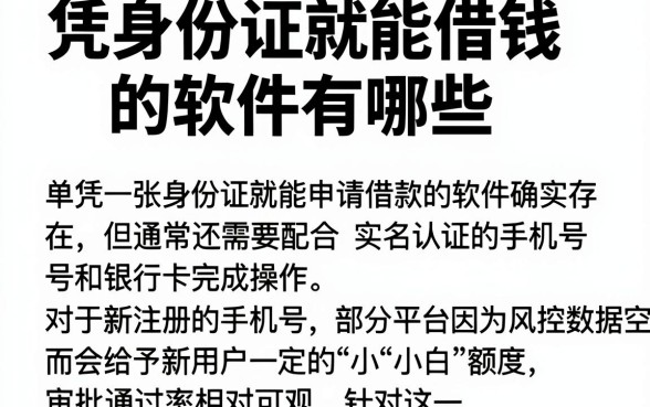 凭身份证就能借钱的软件有哪些,概览五个新手机号容易下款的app