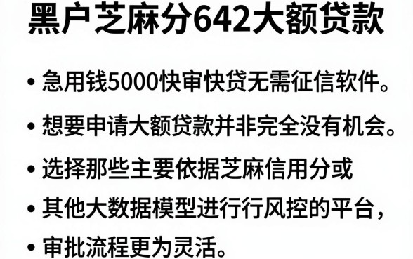 黑户芝麻分642大额贷款,条列五个急用钱5000快审快贷无需征信软件